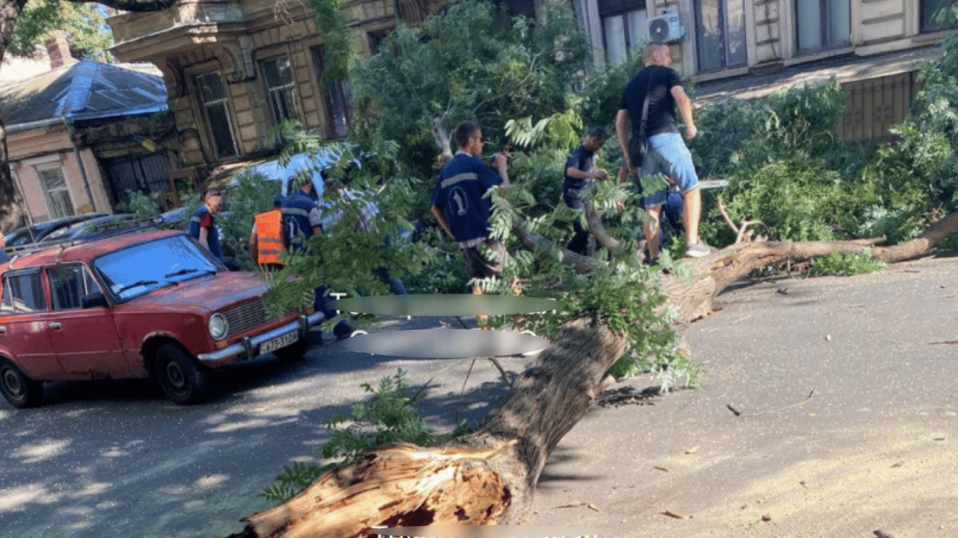 В центре Одессы перекрыта улица: на дорогу упало дерево