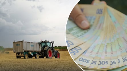 Власники паїв можуть залишитися без грошей: аграрії назвали головну проблему - 285x160