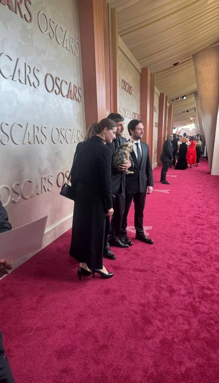 Команда фільму Порцелянова війна - фото