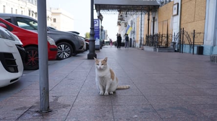 Спадет ли жара — прогноз погоды в Одессе на завтра - 285x160