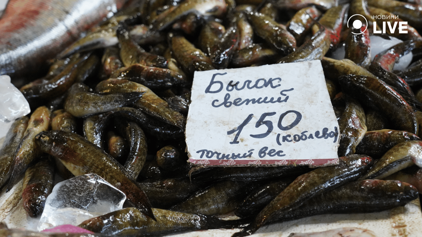 Бичок з Тилігульського лиману. Фото: Новини.LIVE