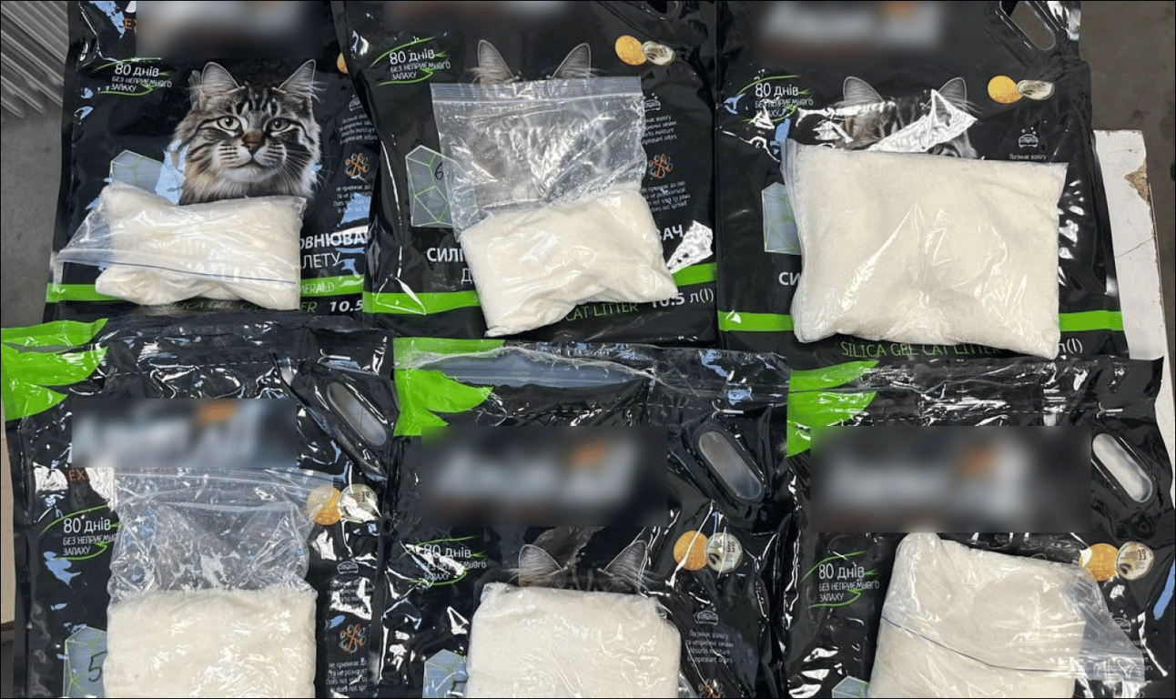 Амфетамін у котячому туалеті — на Одещині викрили наркокартель - фото 1