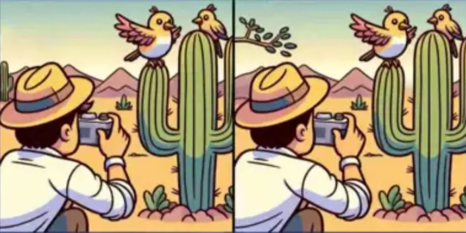 Загадка для бдительных - найдите четыре отличия за 7 секунд - фото 1