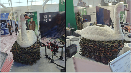 ”Качка” у формі лебедя — Польща показала новинку для армії - 285x160