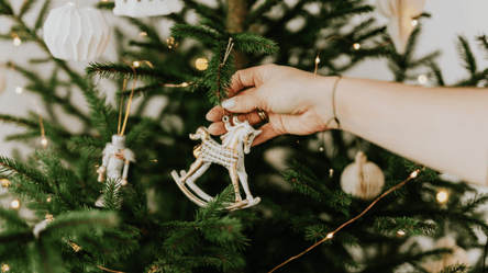 New Year 2026 — symbol of the year and ways to attract luck - 285x160