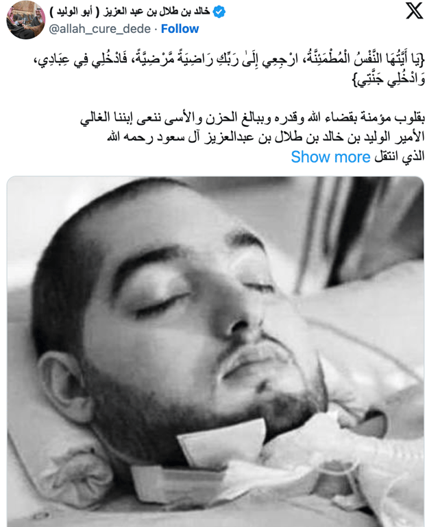 Сплячий принц Саудівська аравія