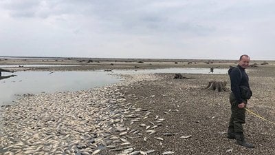 Последствия подрыва ГЭС - как сейчас выглядит Каховское водохранилище - фото 3