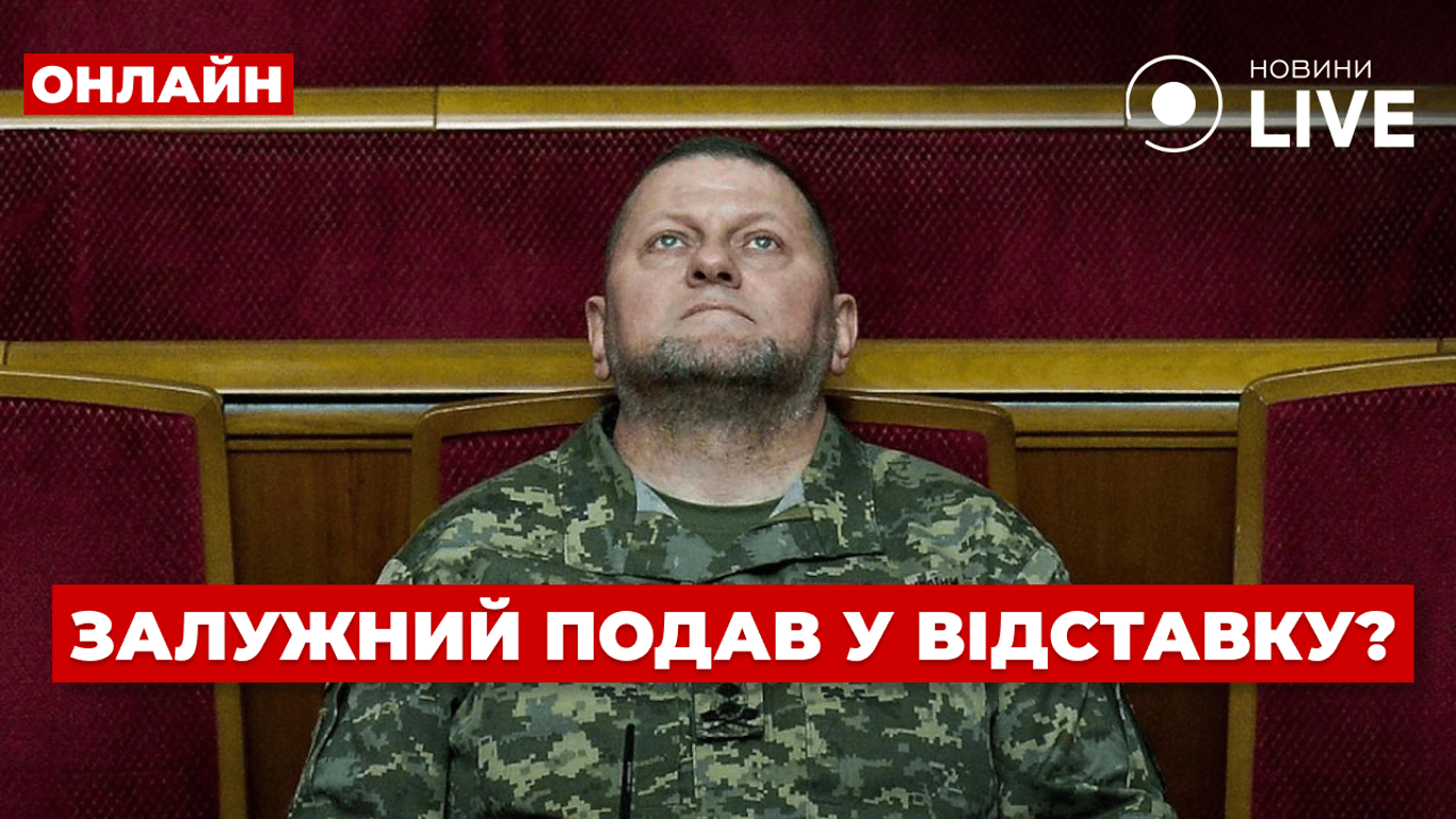 Главнокомандующего ВСУ Валерия Залужного уволили с должности 29 января