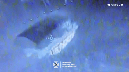 Бійці ДПСУ знищили російський танк — військові показали відео - 285x160