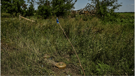 В Харьковской области мужчина подорвался на мине: все детали - 285x160