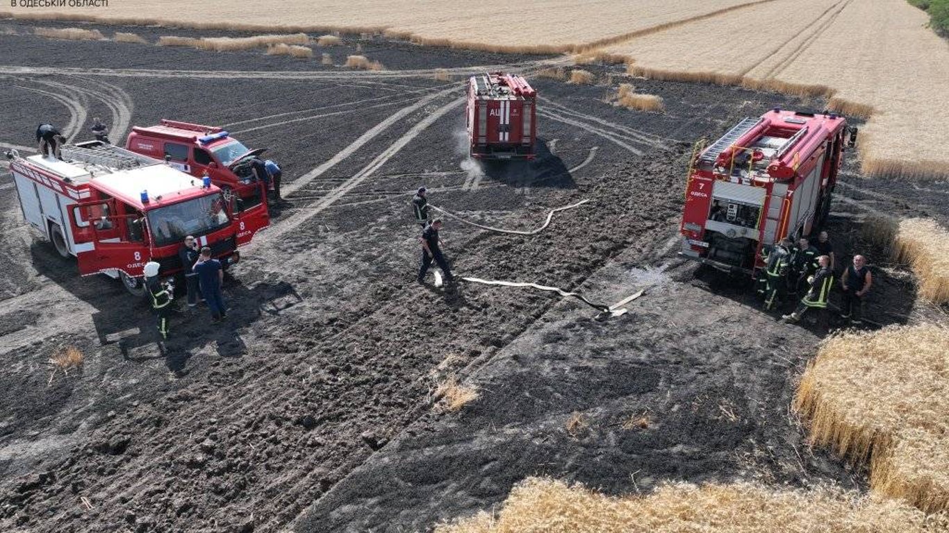 На Одещині пожежа знищила 10 га пшеничного поля