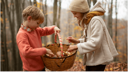 Лесной билет — кому нужен и как оформить в 2025 году - 285x160