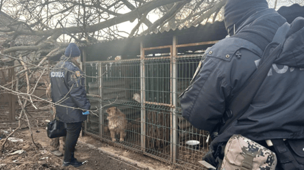 На Одещині поліцейські забрали тварин у жінки — що сталося - 285x160