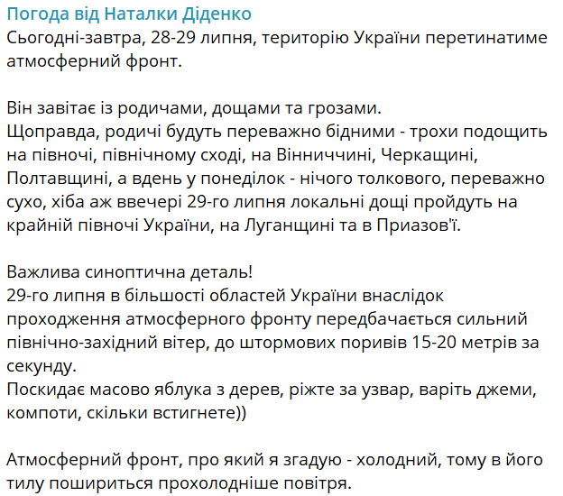 Грози та шквальний вітер — народний синоптик Діденко попередила про вплив атмосферного фронту - фото 2