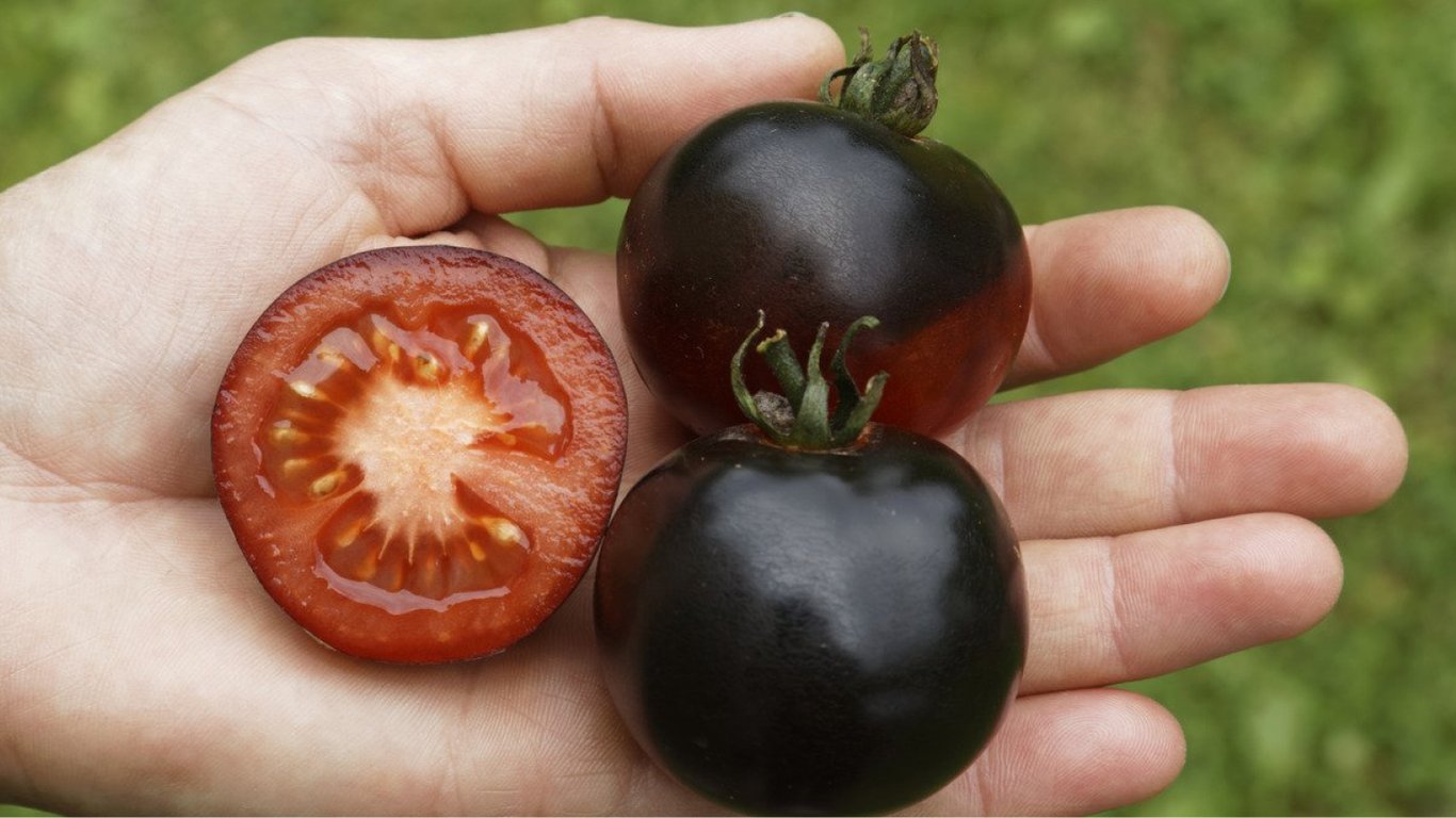 Фуд-тренд чорні помідори — смак, особливості та найсмачніший рецепт салату