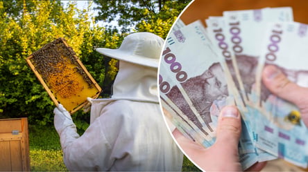 Бджоли можуть дорого обійтися: за які порушення карають пасічників - 290x160