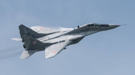 Украина предложила Польше обменять дроны на истребители МиГ-29 - 285x160