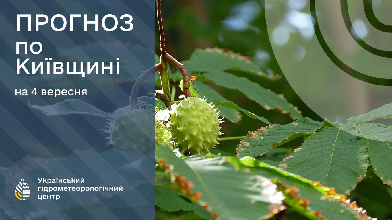 погода в Киеве