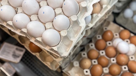Бюджетних яєць на полицях немає — що з цінами в супермаркетах - 285x160