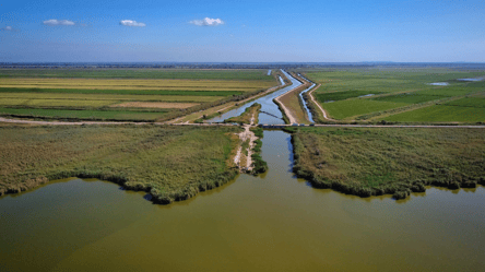 Водойми швидко міліють: озера в Одеській області модернізують - 290x166