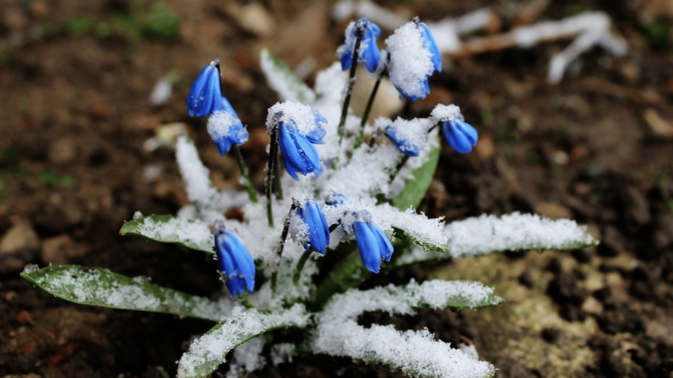 Весна зачекає: мінусову температуру прогнозують одразу у п'яти областях