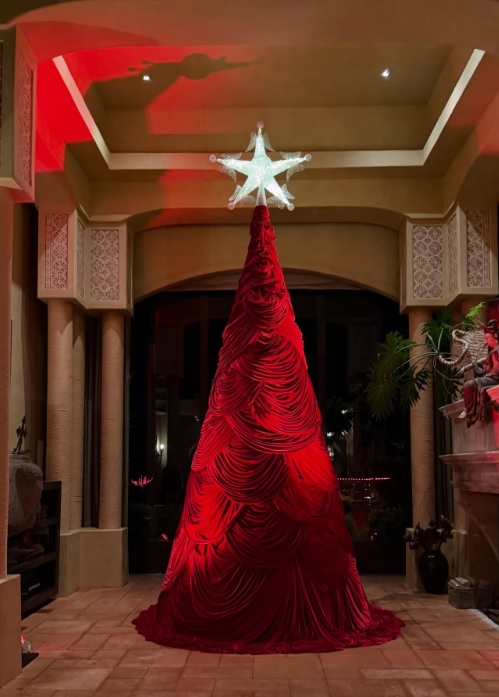 Ялинка Джади Пінкетт-Сміт — як змінила уявлення про декор (фото) - фото 1