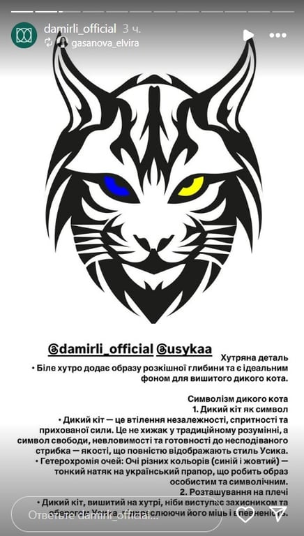 Олександр Усик в костюмі з накидкою з тигром