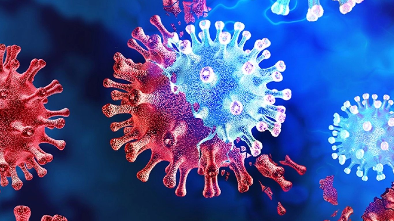Микроб, питающийся только вирусами — ученые обрели новый организм
