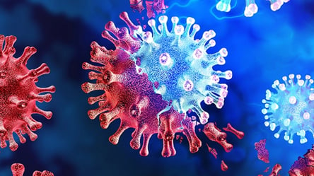 Може харчуватися тільки вірусами: науковці виявили новий вид мікроба - 285x160