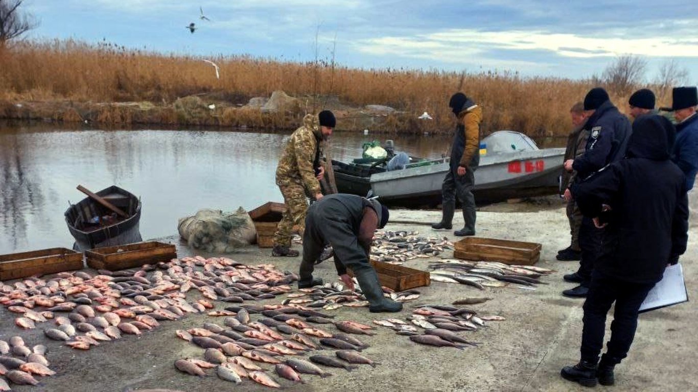 С начала года рыбные браконьеры Одесчины нанесли государству более 2 миллионов убытков