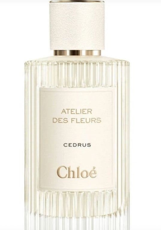 Chloe — Cedrus