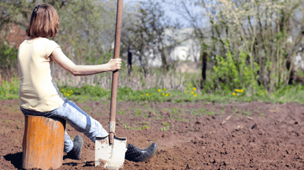 Чистий четвер 2026: що можна садити на городі для щедрого врожаю - 285x160