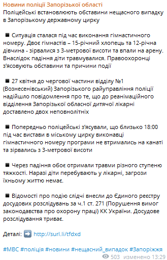 З триметрової висоти впали діти — поліція розповіла деталі нещасного випадку у запорізькому цирку - фото 1