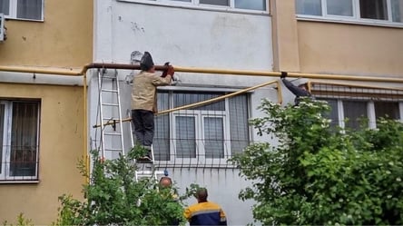 Частина Харківщині майже тиждень буде без газу: адреси - 285x160