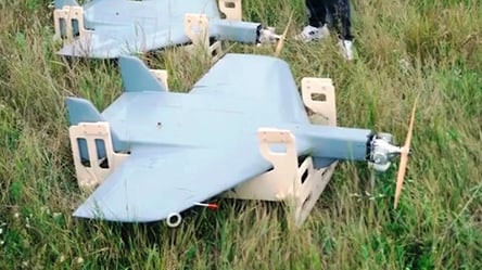 На службу до ЗСУ стануть далекобійні дрони "Рубака": чим унікальні - 285x160