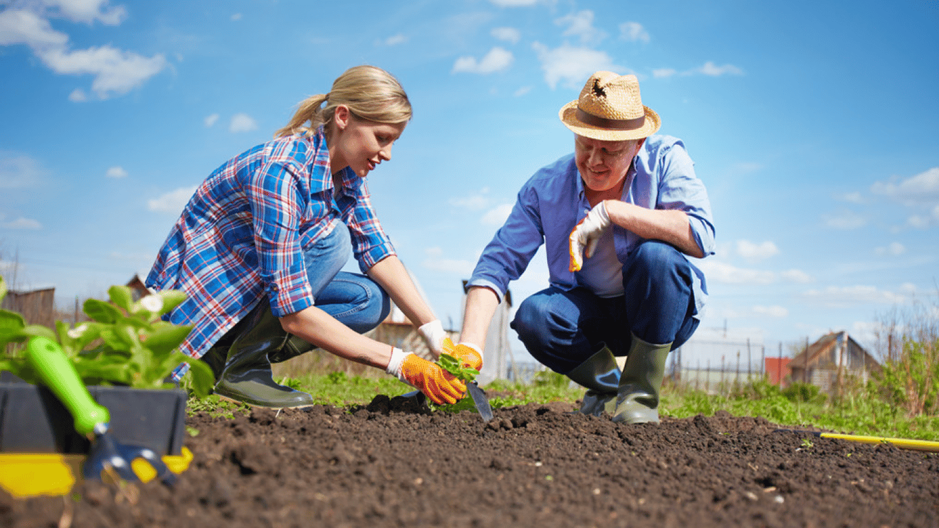 Вербна неділя 2026: чи можна працювати на городі та в саду