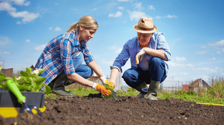 Вербна неділя 2026: чи можна працювати на городі та в саду - 285x160
