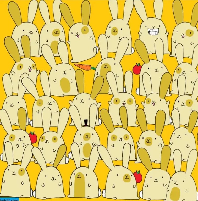 Задача для генія — знайдіть серед 29 кроликів на вечірці одного без пари - фото 1