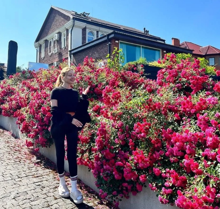 Таємниці дому Тіни Кароль — як облаштований маєток співачки - фото 1