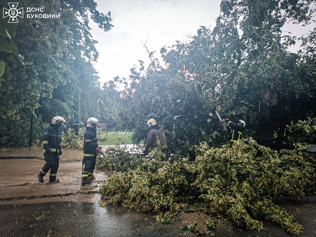 Из-за бури попадали деревья в Черновицкой области