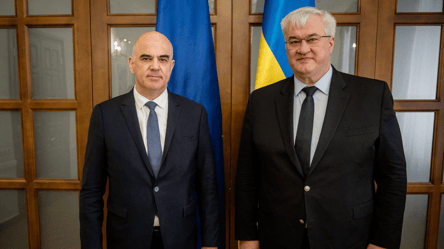 Генсек Совета Европы встретился с Сибигой в Киеве — что обсудили - 285x160