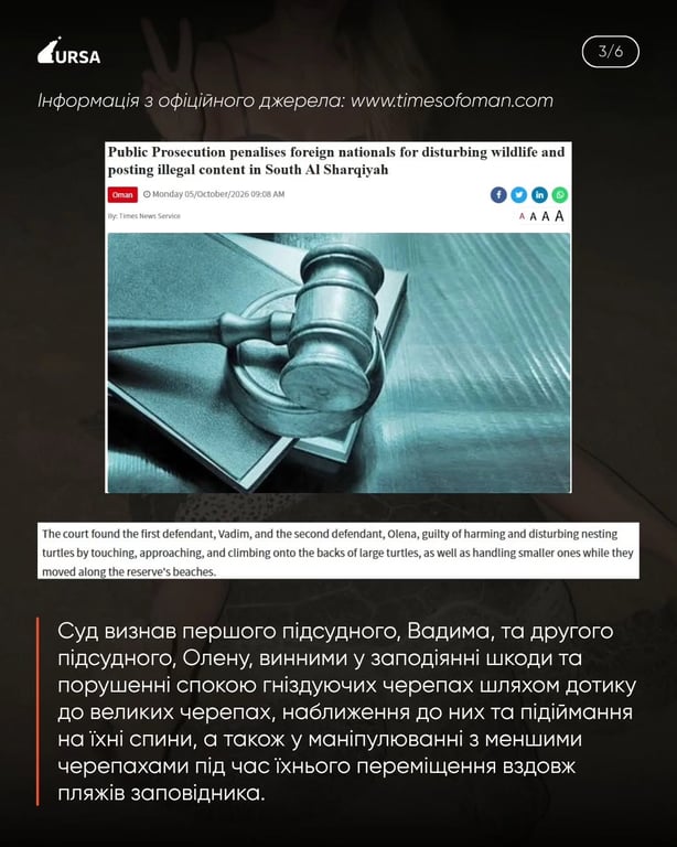 Украинского спортсмена осудили в Омане за жестокое обращение с черепахами - фото 4