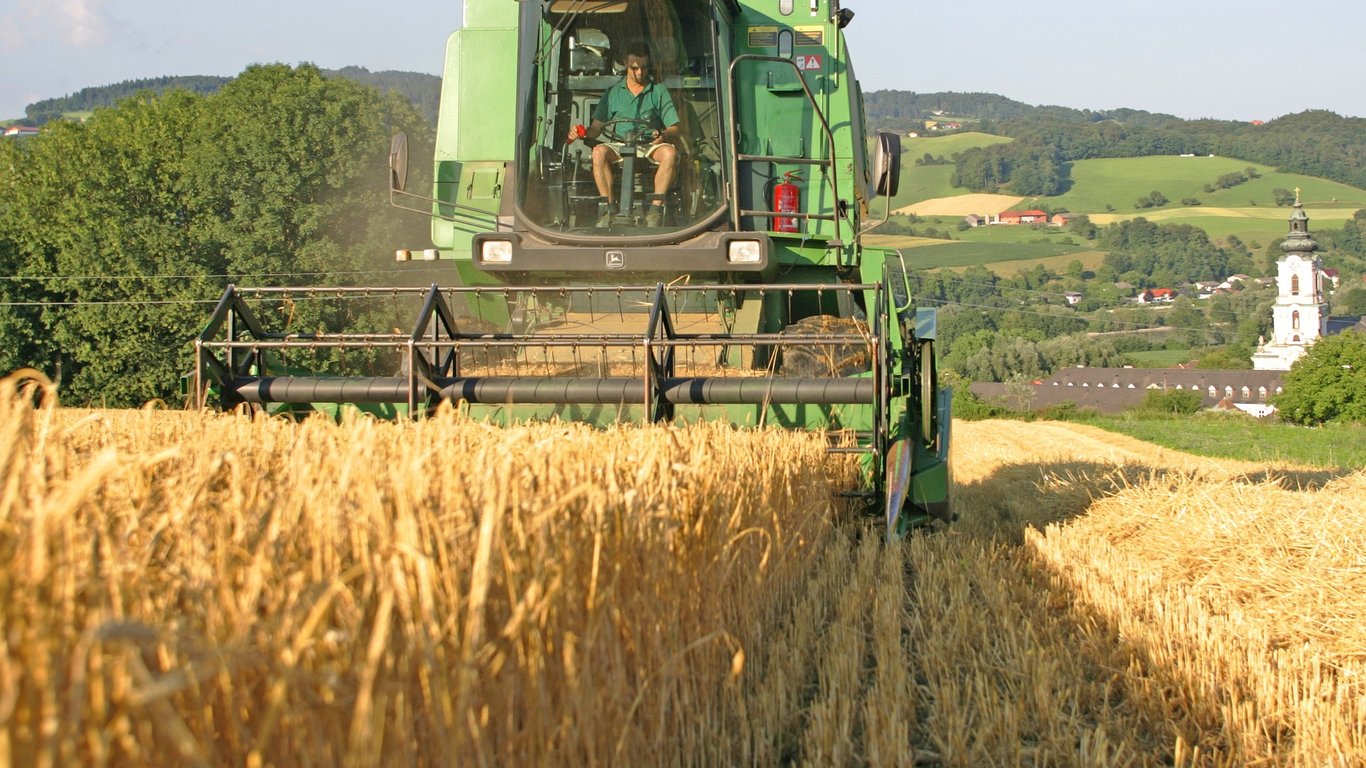 Ціни на зернові в Україні станом на 18 червня 2024 року
