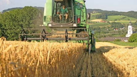 В Україні впала вартість пшениці — ціни на зерно у червні - 285x160