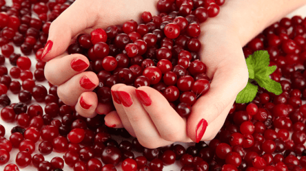 Яку журавлину вирощувати в Україні — найурожайніші сорти - 285x160