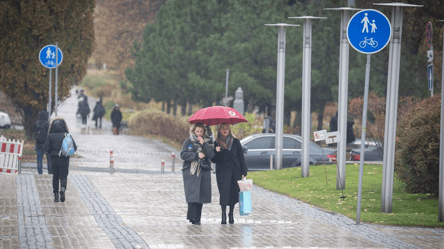 Первый день зимы удивит погодой — прогноз на завтра - 290x166