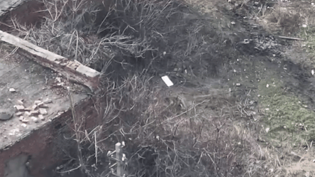 Українські десантники знищили Starlink росіян на фронті - 285x160
