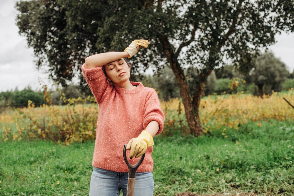 Коли у жовтні не можна працювати на городі та в саду — два небезпечні дні