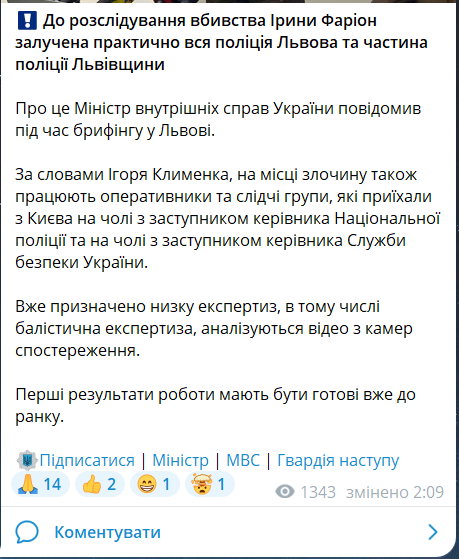 Деталі розслідування вбивства Ірини Фаріон 19 липня