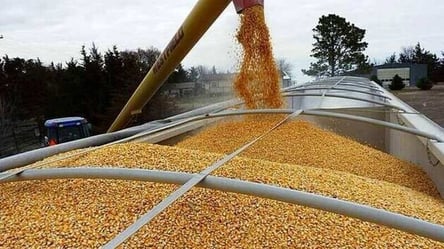 Росія від самого початку планувала вивезення українського зерна задля шантажу голодом - 285x160